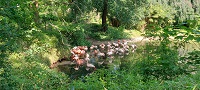 Zoo w Berlinie