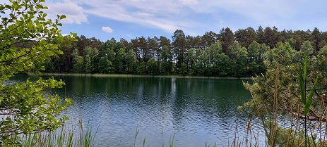 Obraz jeziora w borach