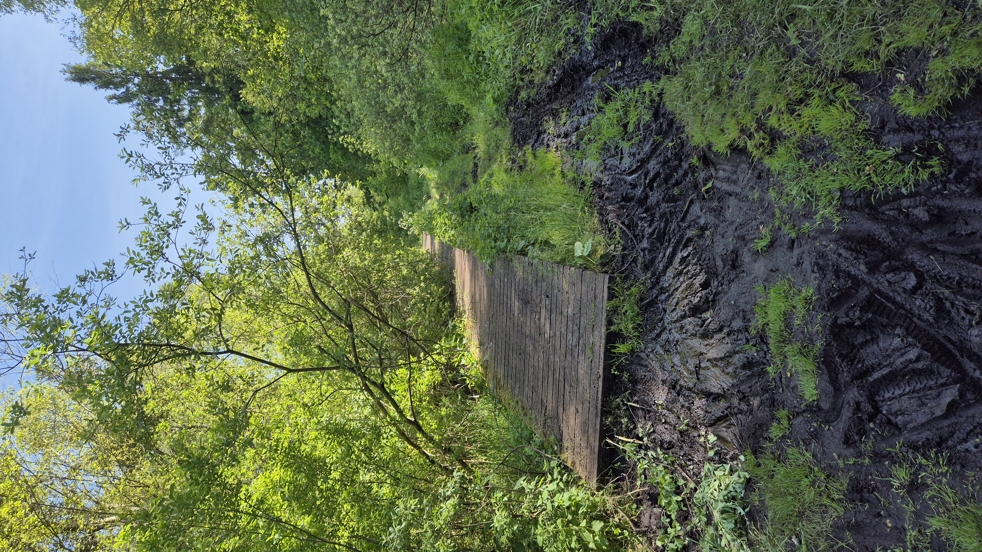 Central Park Central Park