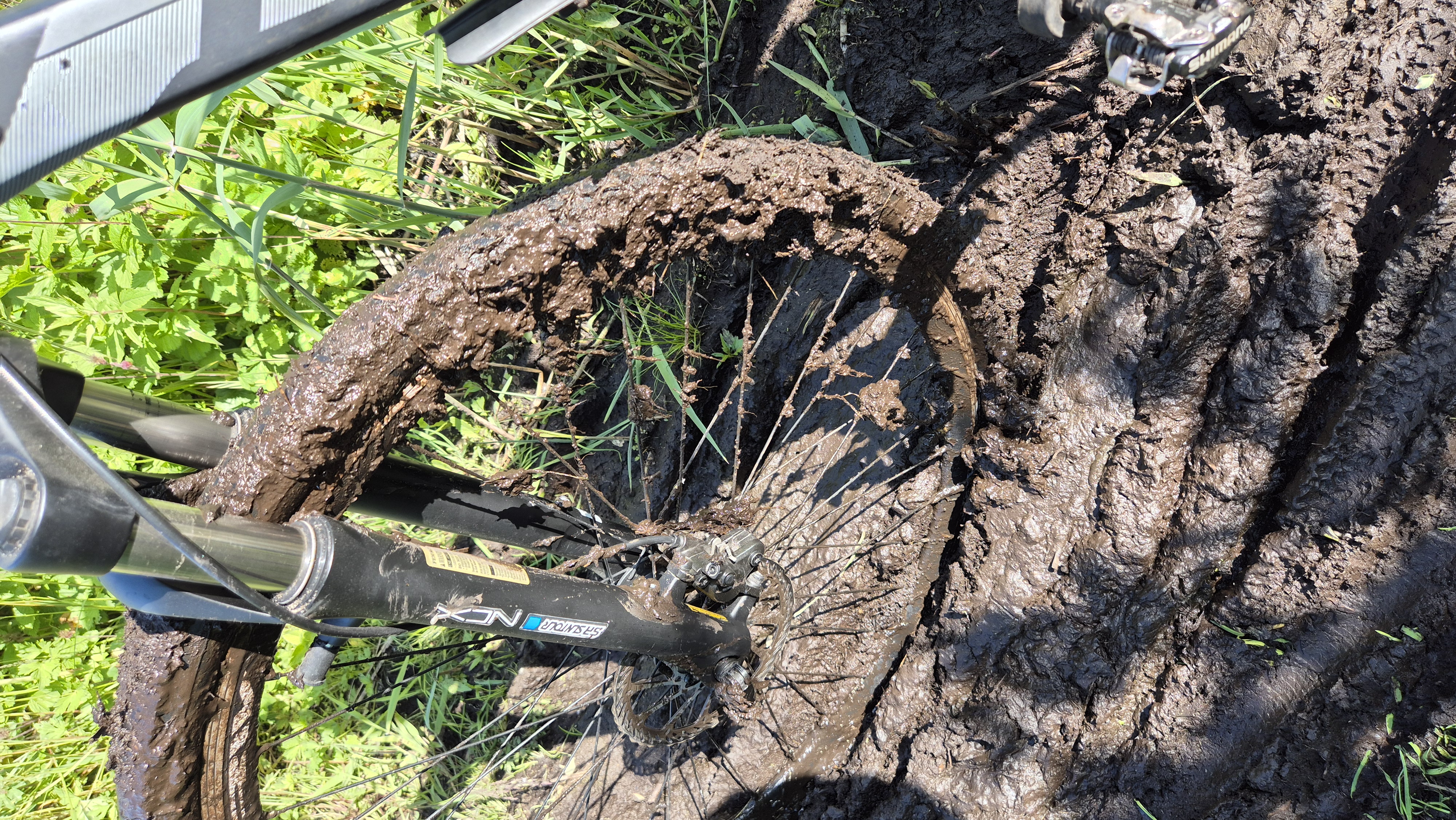 Central Park Central Park