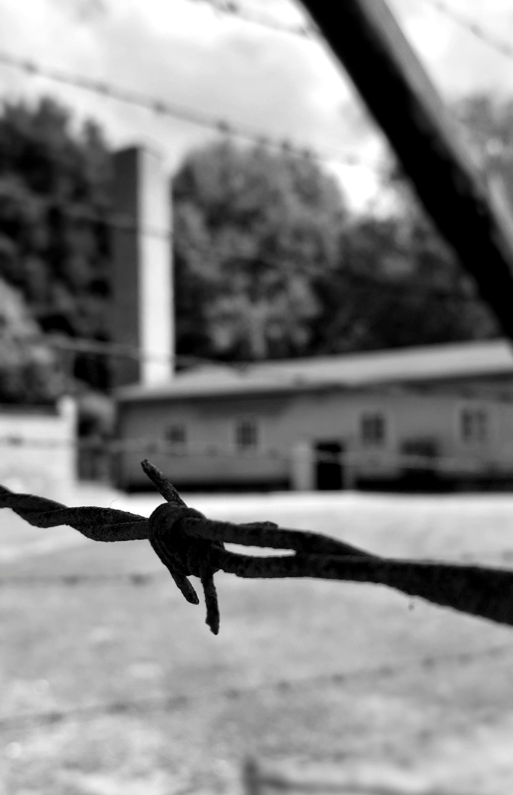 Szpital i komora gazowa