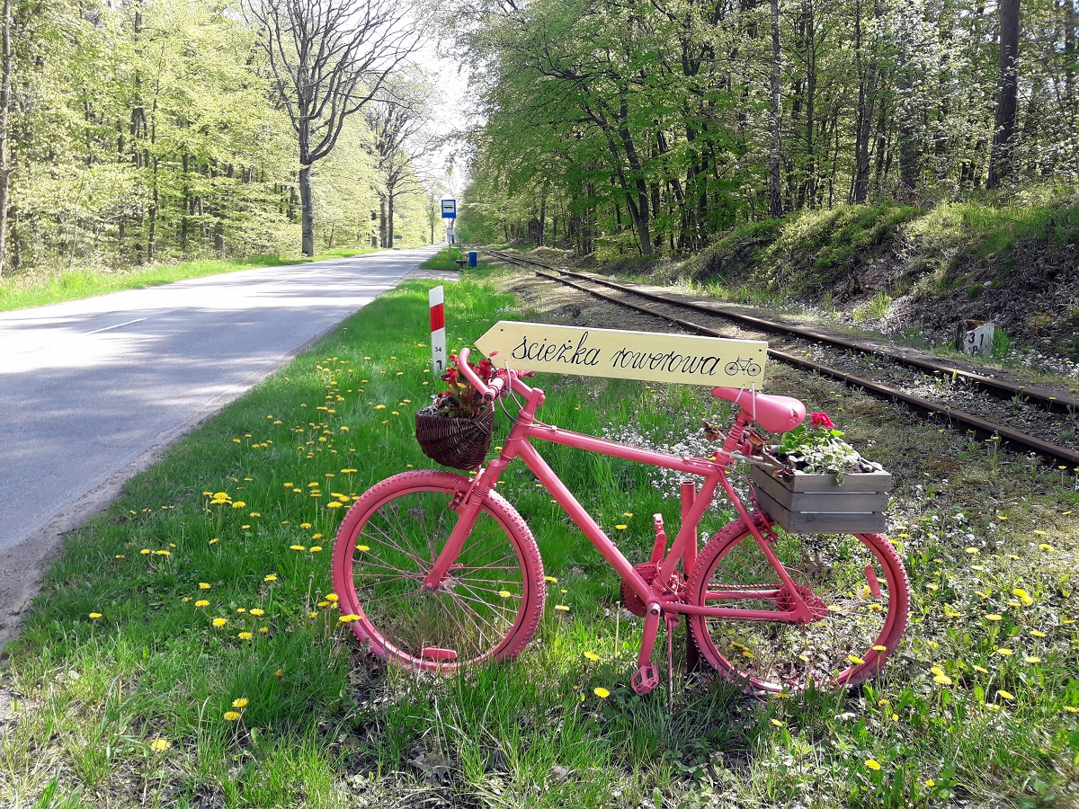 Różowy Rower