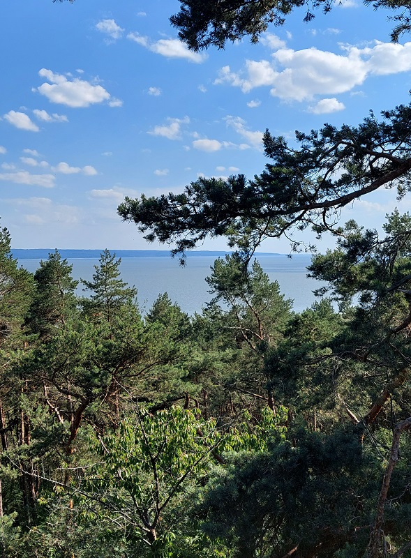 Mierzeja Wiślana - Wielbłądzi Garb