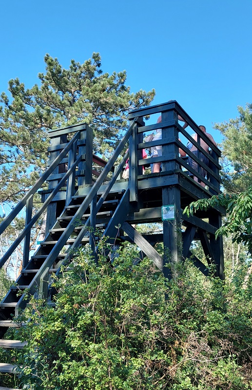 Mierzeja Wiślana - Wielbłądzi Garb