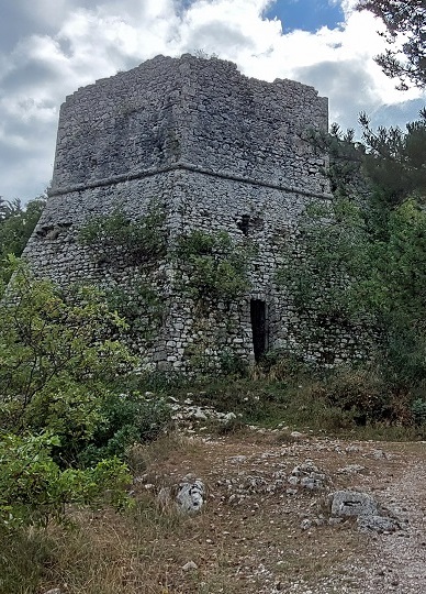 Mury obronne zamku